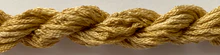 304 Pecan
