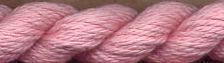 147 Carnation